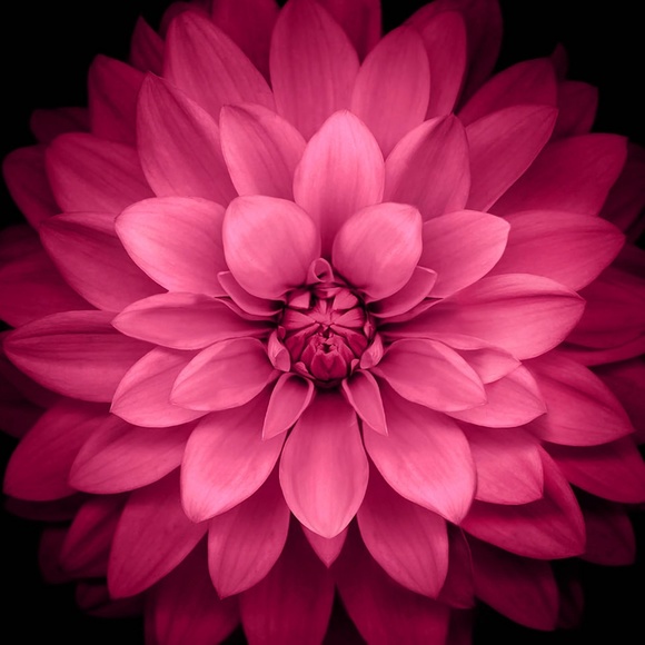 Meet your Posher, Barbara - Picture 1 of 1